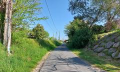 Travaux Route de Leplante à Biaudos